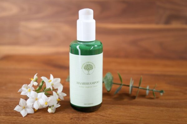 Shampooing pour les Cheveux