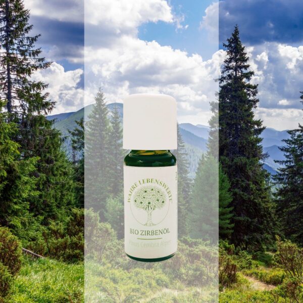Huile essentielle de Pin Cembro 10 ml