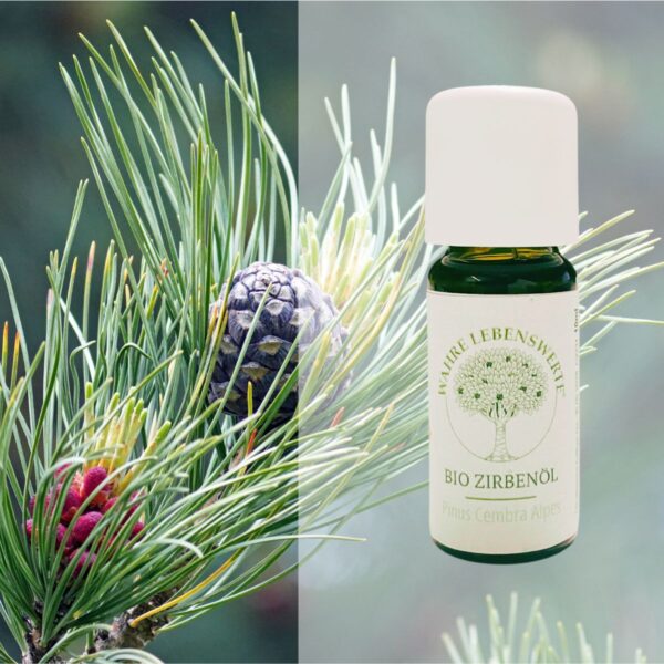 Huile essentielle de Pin Cembro 20 ml