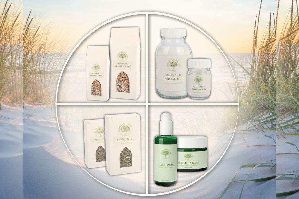 divi-cart-pro-beauty-about-2